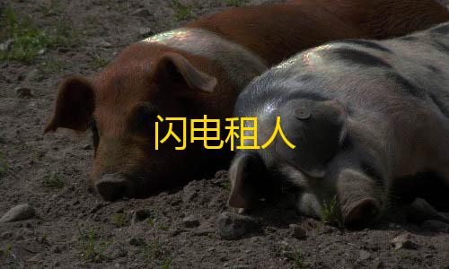 和平精英辅助安全吗闪电租人